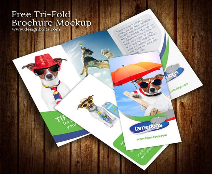 Tri Fold Brochure Templates 14.4