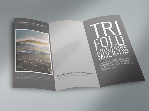 Tri Fold Brochure Templates 346