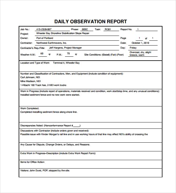 daily report template 941