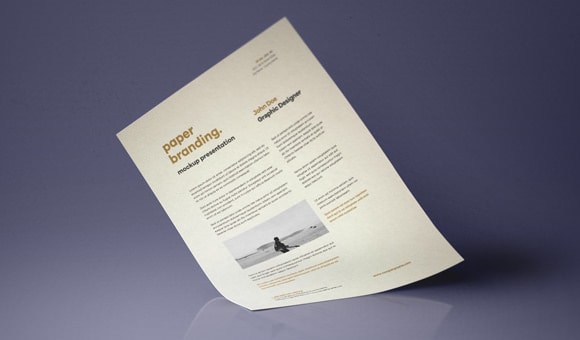 paper mockup 10.1