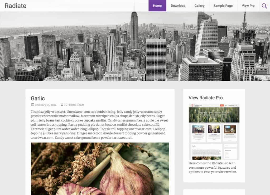 Free WordPress Themes For Tech Blog 3641