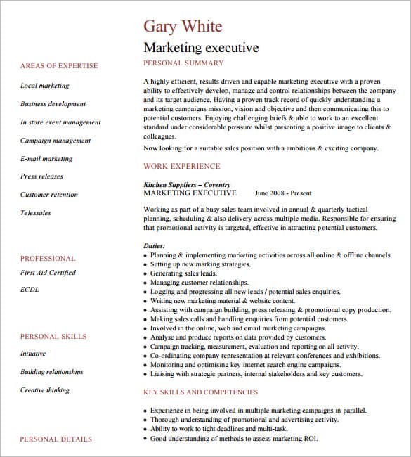 executive resume template word 365