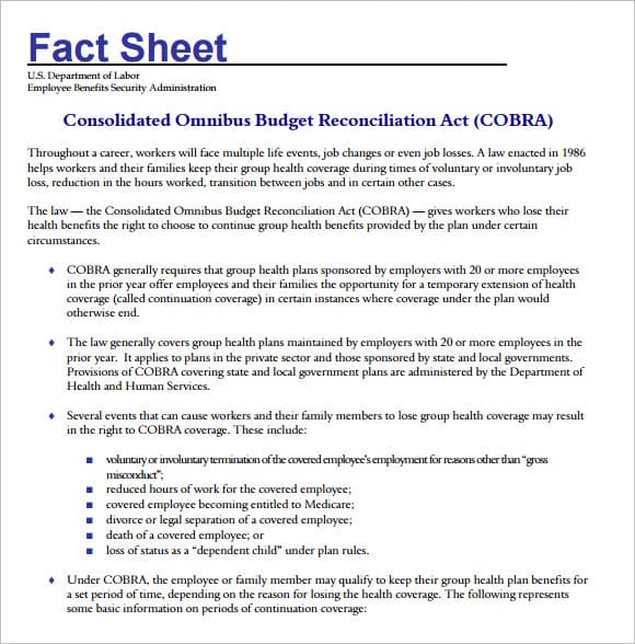 fact sheet template 36