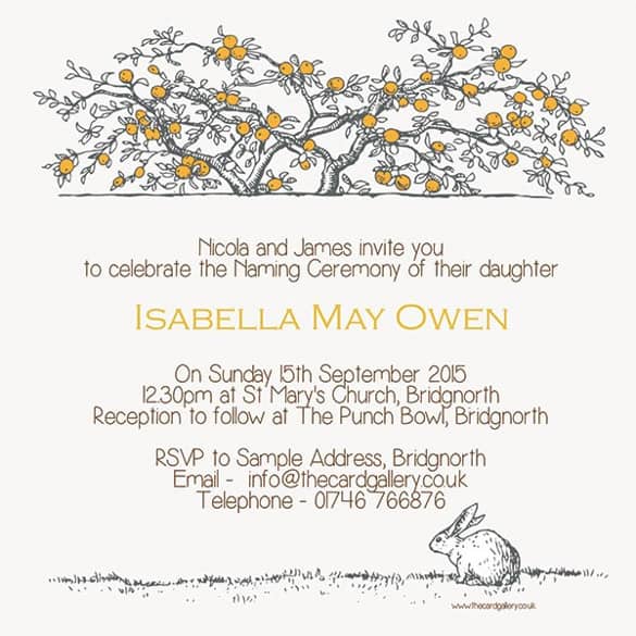 naming ceremony invitation 26