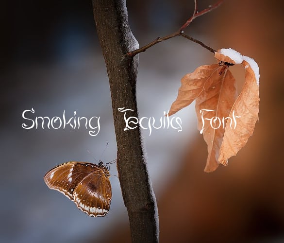 smoke fonts 2641