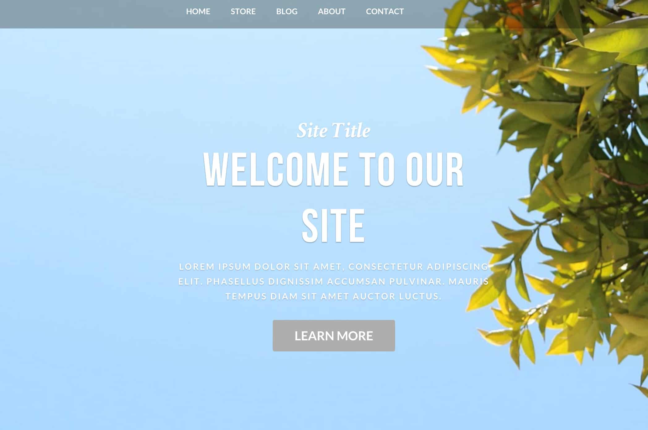 weebly themes 16