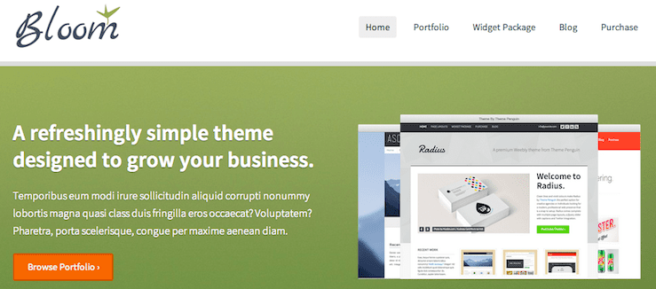 weebly themes 346