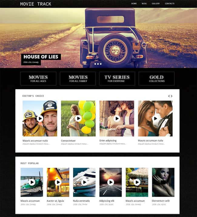 Cinema WordPress Themes 42