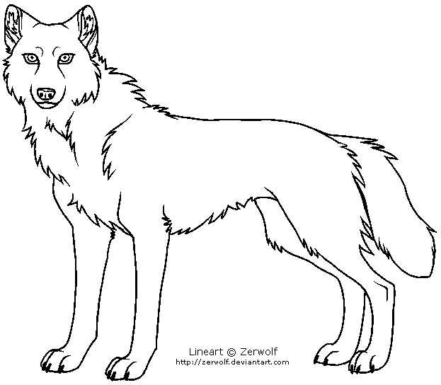 wolf template 32