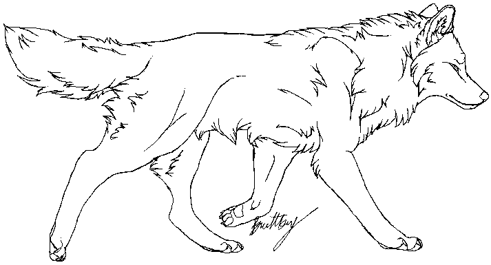 wolf template 42