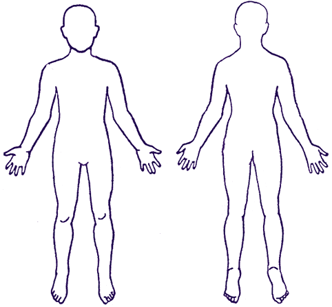 Featured image of post Human Body Outline Male And Female / An ideal body outline should be easy to use and understand.