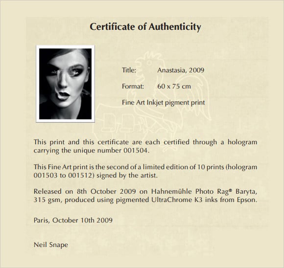 Art Certificate Of Authenticity Template from www.templatesfront.com