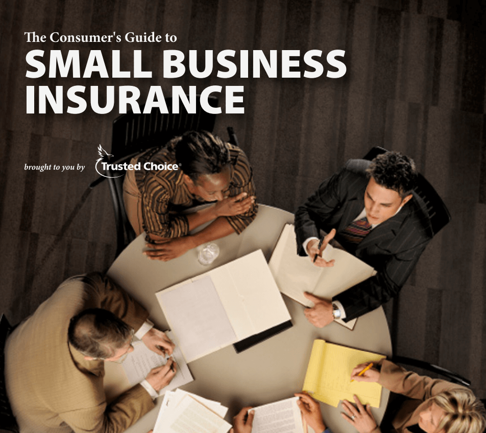 Small Business Insurance Policy  PDF — downloadable template preview