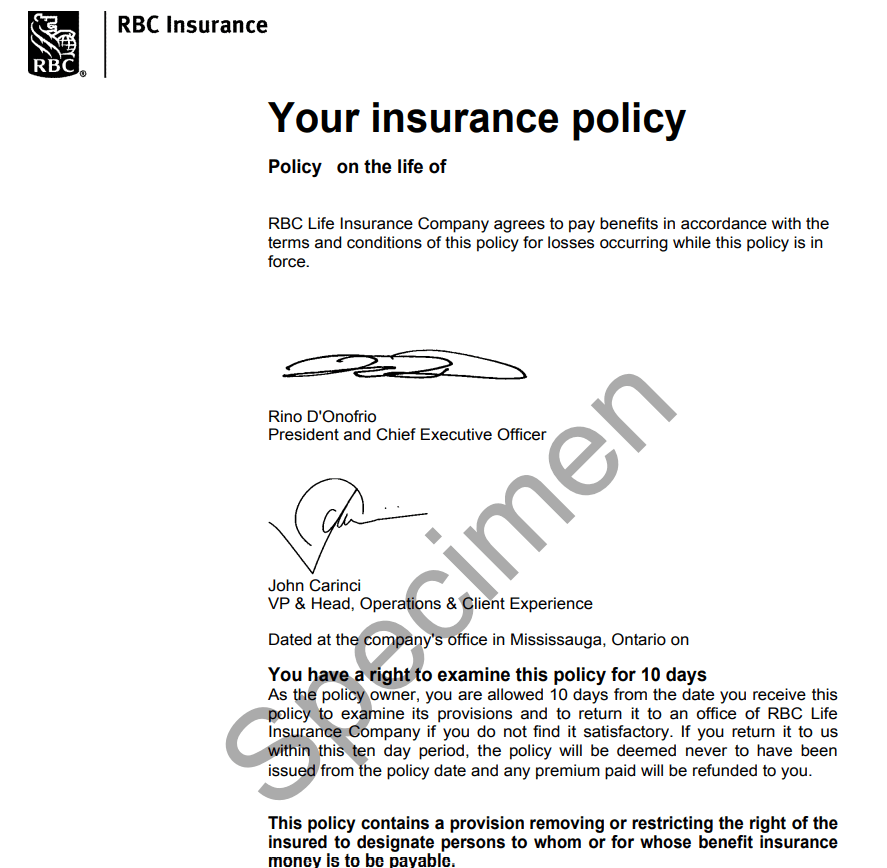 Personal Insurance Policy Example — downloadable template preview