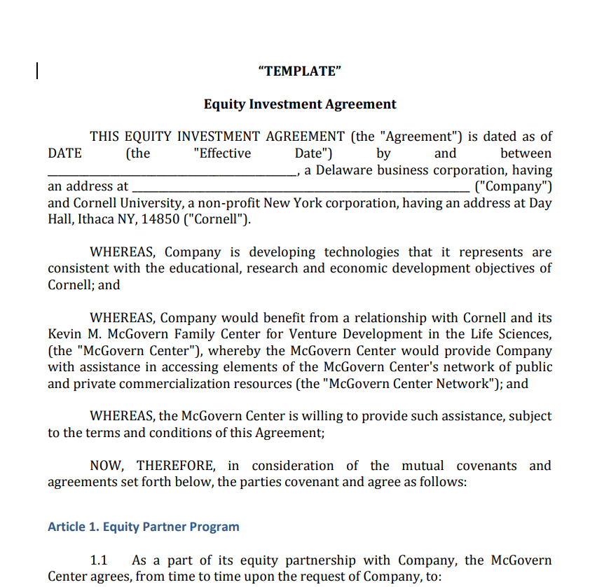 Equity Investment Agreement Sample — downloadable template preview