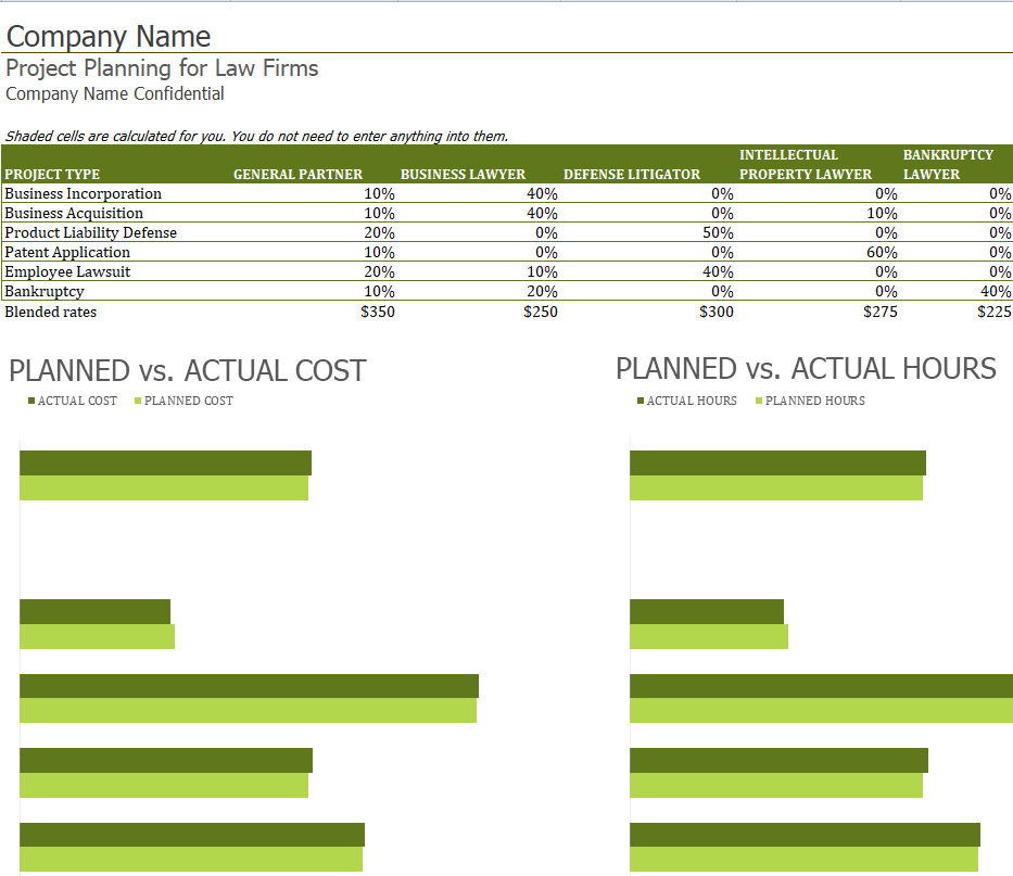 Law Firm's Project Plan Template — downloadable template preview