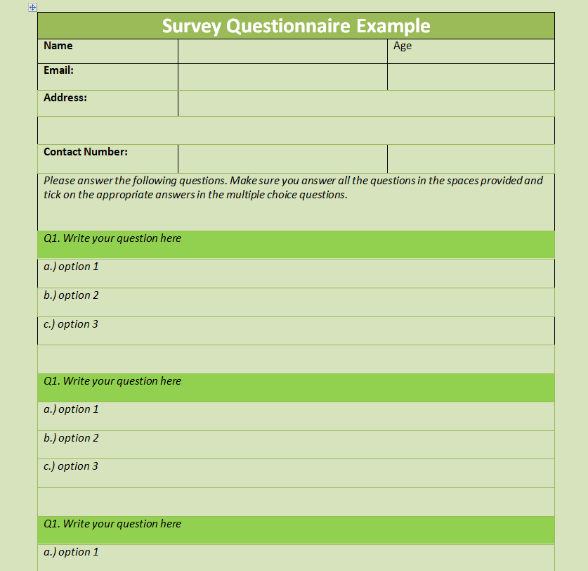 Blank Survey Questionnaire Example Format — downloadable template preview