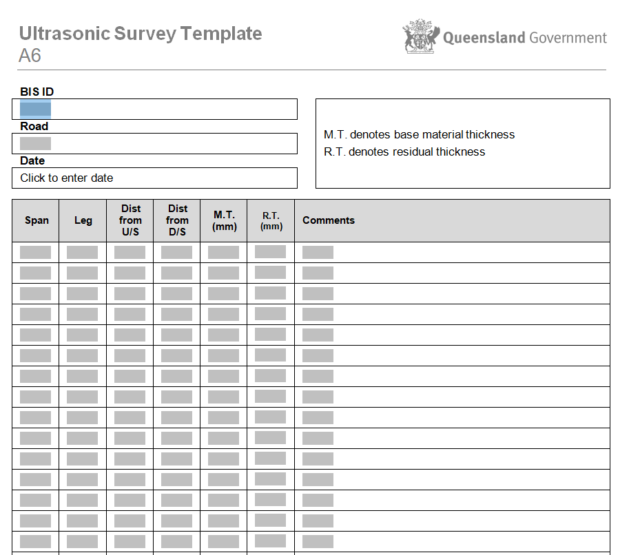 Government Survey Questionnaire Example Word — downloadable template preview