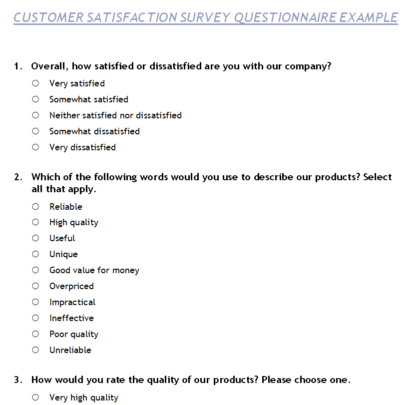 Simple Customer Satisfaction Survey Questionnaire Example — downloadable template preview