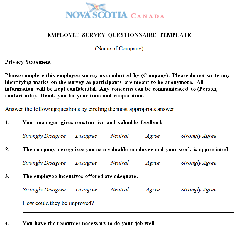 Editable Employee Survey Questionnaire Template — downloadable template preview