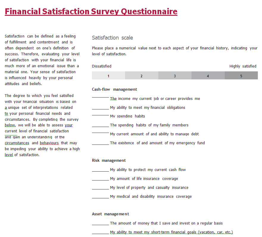 Financial Satisfaction Survey Questionnaire Example — downloadable template preview
