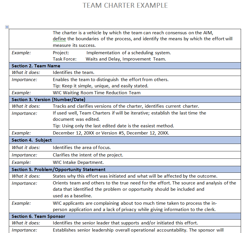 Detailed Team Charter Example — downloadable template preview
