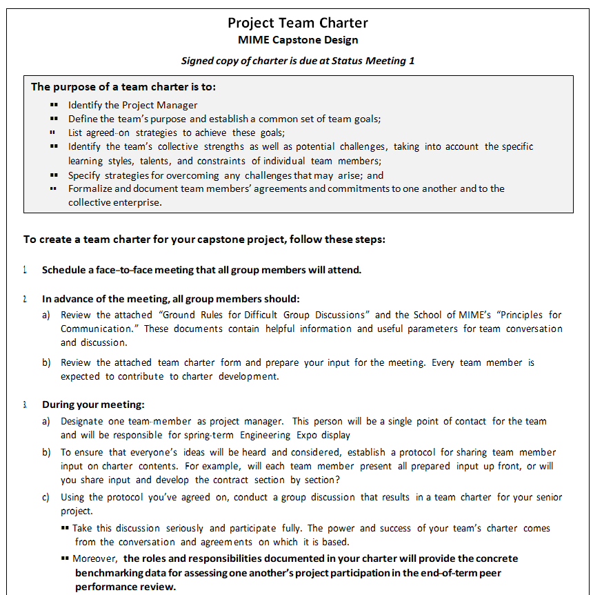 Design Project Team Charter Sample — downloadable template preview