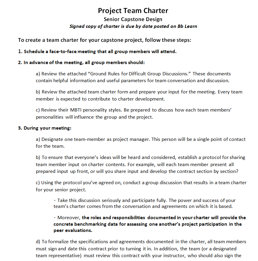 Management Team Charter Example — downloadable template preview