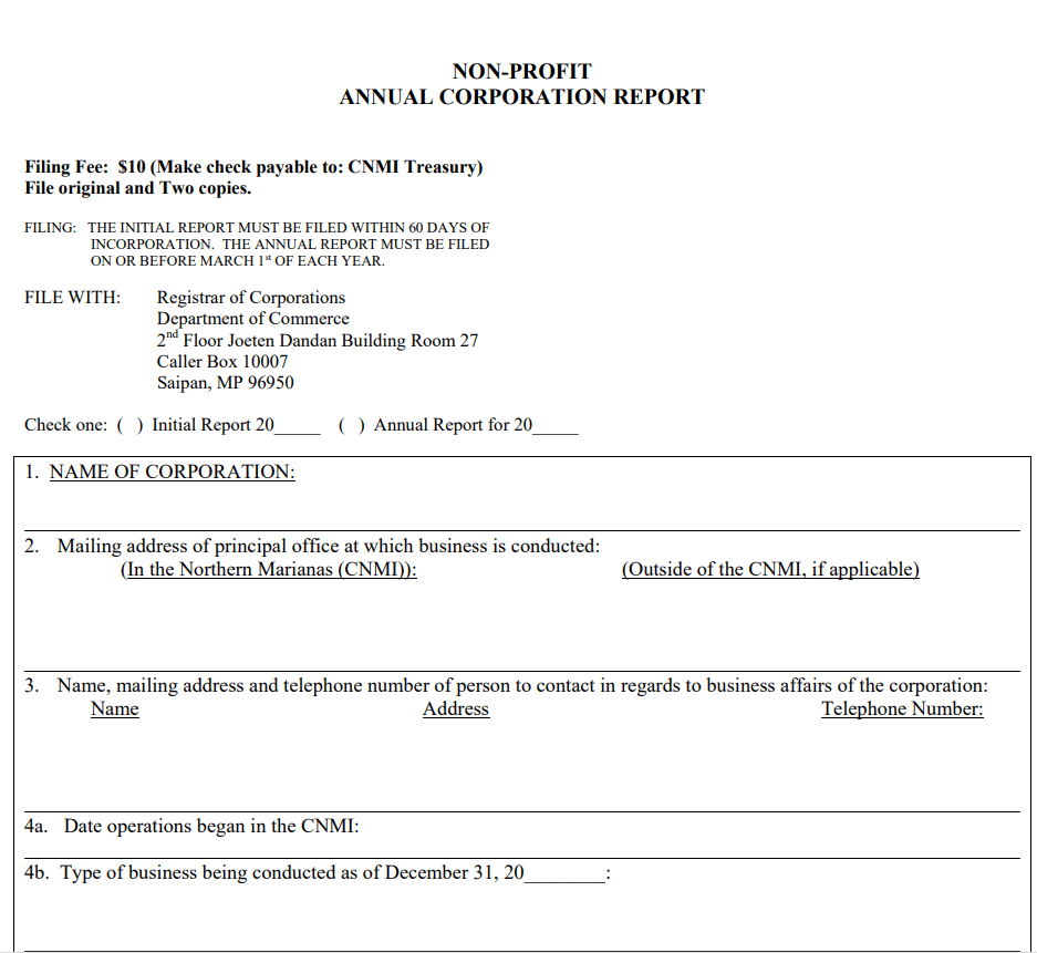 Non-Profit Annual Corporation Report Example — downloadable template preview