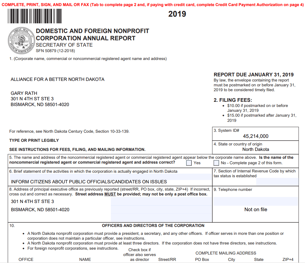 Domestic and Foreign Non-Profit Corporation Annual Report — downloadable template preview