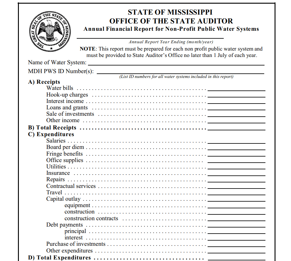 State Auditor's Non-Profit Annual Report Example — downloadable template preview