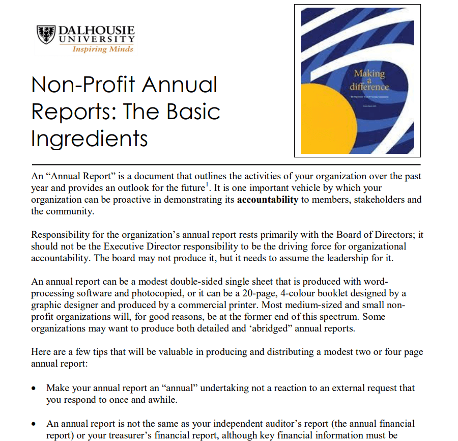 Detailed Guide for Non-Profit Annual Report PDF — downloadable template preview